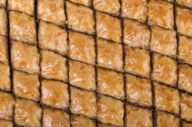 taze pişmiş lezzetli pasta düzenlenmiş 