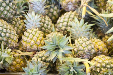 düzenlenmiş taze ananas yakın görünümü