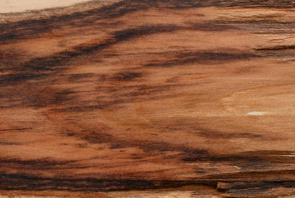 Hawthorn Dark Brown Wood Texture Black Veins — Stock Photo, Image