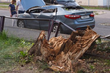 Minsk, Belarus-06 Haziran 2019: hasarlı araba gümüş gri Kai Rio şehir Caddesi üzerinde Park düşmüş ağaç ile