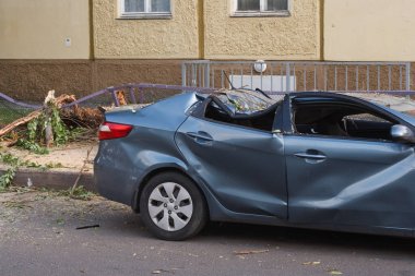 Minsk, Belarus-06 Haziran 2019: hasarlı araba gümüş gri Kai Rio şehir Caddesi üzerinde Park düşmüş ağaç ile