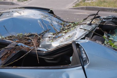 Minsk, Belarus-06 Haziran 2019: hasarlı araba gümüş gri Kai Rio şehir Caddesi üzerinde Park düşmüş ağaç ile