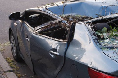 Minsk, Belarus-06 Haziran 2019: hasarlı araba gümüş gri Kai Rio şehir Caddesi üzerinde Park düşmüş ağaç ile