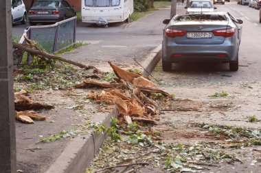 Minsk, Belarus-06 Haziran 2019: hasarlı araba gümüş gri Kai Rio şehir Caddesi üzerinde Park düşmüş ağaç ile