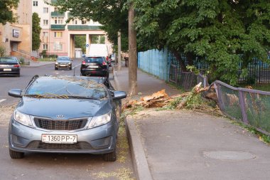 Minsk, Belarus-06 Haziran 2019: hasarlı araba gümüş gri Kai Rio şehir Caddesi üzerinde Park düşmüş ağaç ile