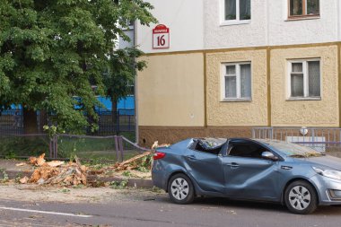 Minsk, Belarus-06 Haziran 2019: hasarlı araba gümüş gri Kai Rio şehir Caddesi üzerinde Park düşmüş ağaç ile