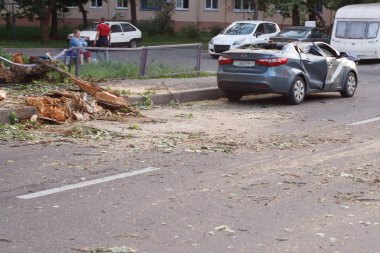 Minsk, Belarus-06 Haziran 2019: hasarlı araba gümüş gri Kai Rio şehir Caddesi üzerinde Park düşmüş ağaç ile