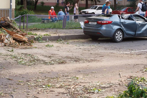 明斯克 白俄罗斯 2019年6月6日 损坏的汽车银灰色凯里奥与倒下的树停在城市街道 — 图库照片