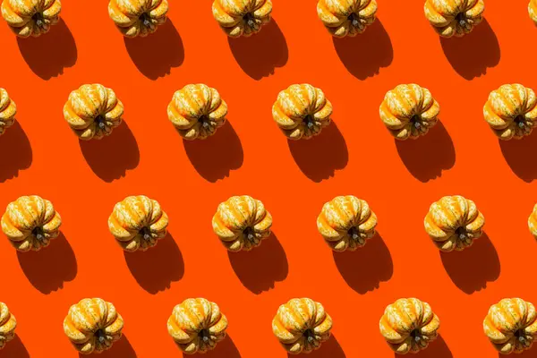 Pumpkin with shadow pattern on orange background — Zdjęcie stockowe