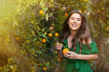 Kameraya bakarak ve gülümseyerek, bir turuncu meyve tutan neşeli genç kadın, açık havada bir portakal bahçesi nde günbatımı. Sağlıklı yaşam konsepti, cilt ve saç bakım kavramı.