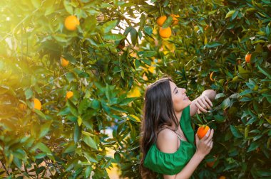 Gülümseyen ve portakal toplama mutlu genç kadın, açık havada bir portakal bahçesi nde günbatımı. Kavramı mutluluk ve sağlıklı yaşam konsepti, cilt ve saç bakımı.