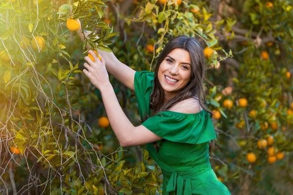 Fröhliche Junge Frau Draußen Bei Sonnenuntergang Einem Orangefarbenen Obstgarten Die — Stockfoto