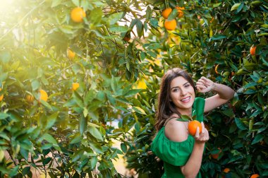 Kameraya bakarak ve gülümseyerek, bir turuncu meyve tutan neşeli genç kadın, açık havada bir portakal bahçesi nde günbatımı. Sağlıklı yaşam konsepti, cilt ve saç bakım kavramı.