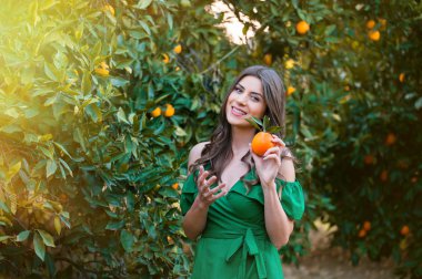 Kameraya bakarak ve gülümseyerek, bir turuncu meyve tutan güzel genç kadın, açık havada bir turuncu meyve bahçesi, günbatımında. Sağlıklı yaşam konsepti, cilt ve saç bakım kavramı.