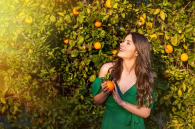 Gülümseyerek, bir turuncu meyve tutan güzel genç kadın, açık havada bir turuncu meyve bahçesi, günbatımında. Sağlıklı yaşam konsepti, cilt ve saç bakım kavramı.