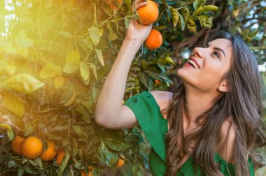 Gülümseyen ve portakal toplama mutlu genç kadın, açık havada bir portakal bahçesi nde günbatımı. Kavramı mutluluk ve sağlıklı yaşam konsepti, cilt ve saç bakımı.