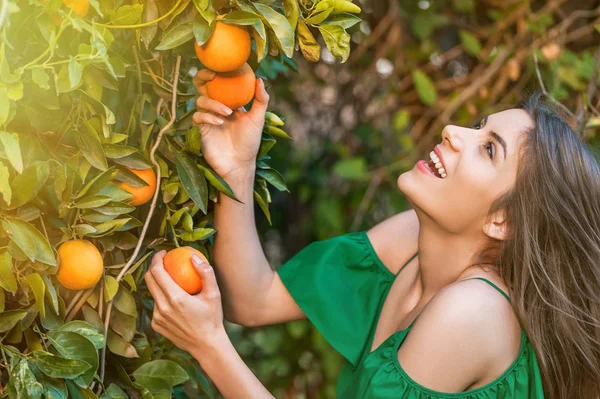 Glückliche Junge Frau Draußen Bei Sonnenuntergang Einem Orangengarten Lächelnd Und — Stockfoto