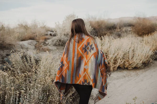 Çingene bakmak çöl doğada rüzgarlı saçlı hipster seyahat kız arka tarafında. Sanatsal fotoğraf genç hipster seyahat kızın çingene bak, Güney Kaliforniya'nın ıssız bir vadide Coachella Valley.