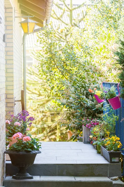 Hlavní Vstupní Dveře Zděného Rodinného Domu Zdobí Rostliny Květiny Květináčích — Stock fotografie