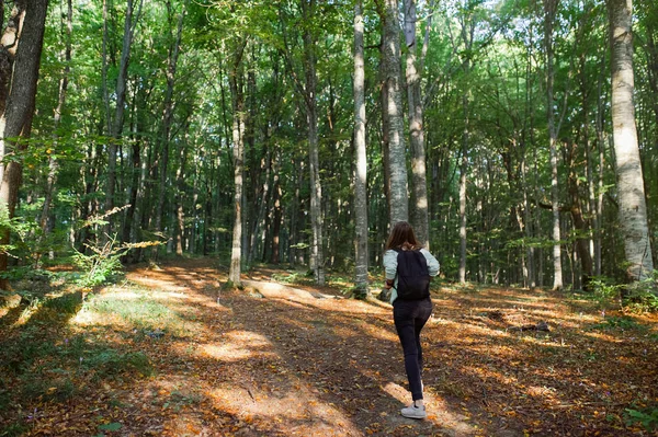 Vue Arrière Une Jeune Femme Promenant Dans Forêt Portant Sac — Photo