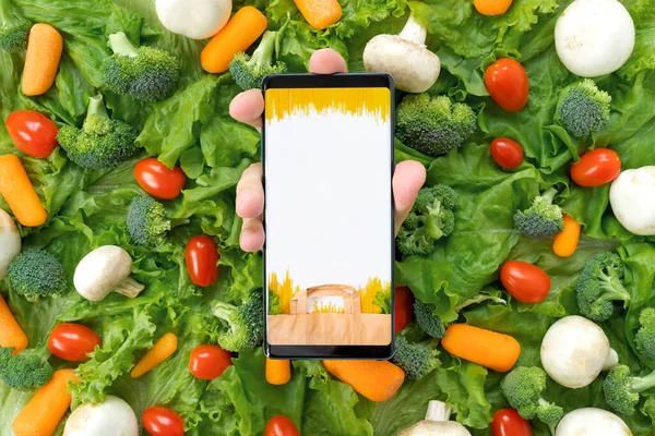 Online order, home delivery of food, groceries from grocery store through mobile application on smart phone. Vegetables, lettuce, carrots, cherry tomatoes, mushrooms. Vegetarian, organic,healthy food.