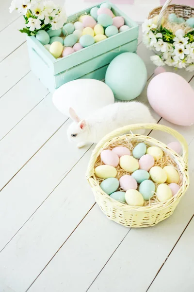 white bunny among baskets with easter eggs on a white wooden background