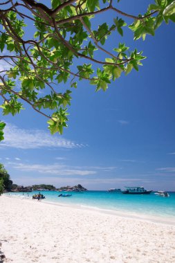 Similan Island, Tayland güzel tropikal plaj