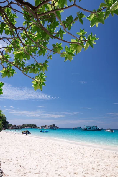 Belle Plage Tropicale Similan Île Thaïlande — Photo