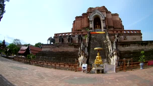 Wat Chedi Luang Templet Chiangmai Thailand Fisheye Objektiv — Stockvideo