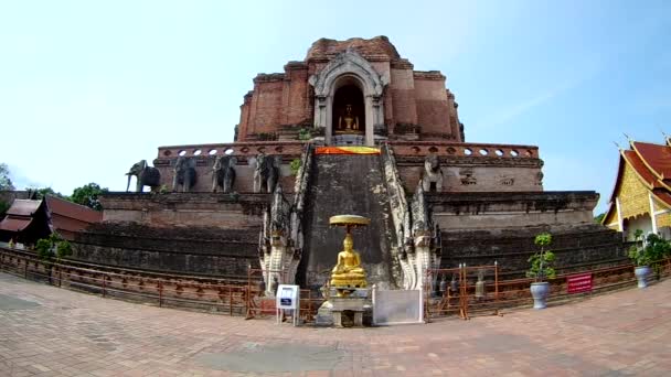 Wat Chedi Luang Temple Chiang Mai Thailand Fisheye Lens — Stock Video