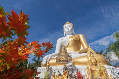 Chiang Mai, Tayland 'daki Buda heykeli.