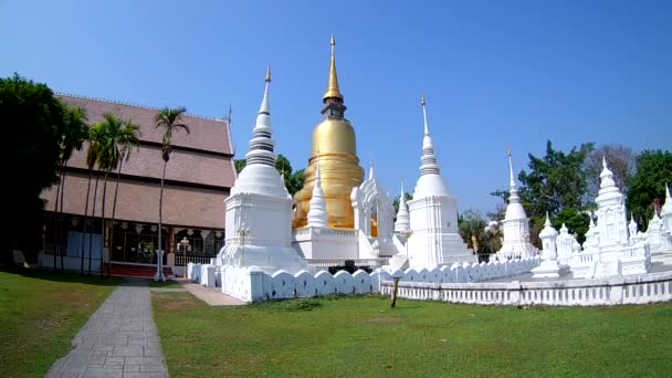 Suan Dok Templom Gyönyörű Templom Chiangmai Thaiföld Széles Látószögű Lencse — Stock videók