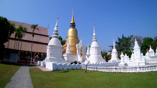 Suan Dok Templom Gyönyörű Templom Chiangmai Thaiföld Széles Látószögű Lencse — Stock videók