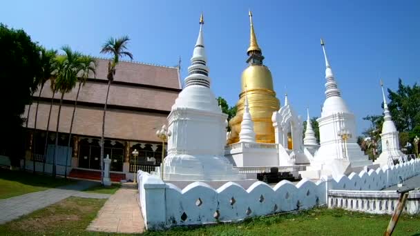 Suan Dok Templo Hermoso Templo Chiangmai Tailandia Lente Gran Angular — Vídeo de stock