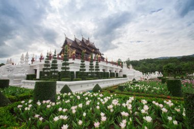 Chiang Mai, Tayland Kraliyet Flora Ratchaphruek Park.