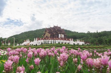 Chiang Mai, Tayland Kraliyet Flora Ratchaphruek Park.