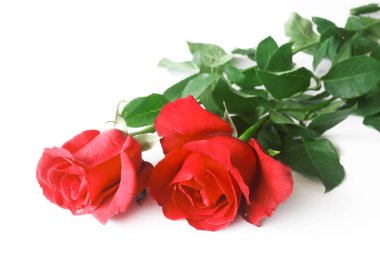 Beyaz arkaplanda izole edilmiş güzel gül çiçeği .