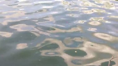 GÖNDE REFLEKSİYON.