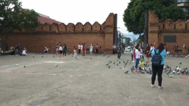 Chiang Mai Thailand Dezembro 2018 Viagens Turísticas Torno Thapae Gate — Vídeo de Stock