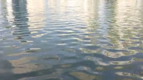 湖の中の反射 — ストック動画