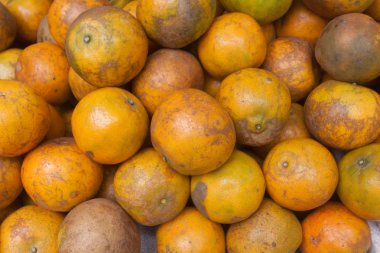 Sağlıklı organik portakal Market.