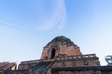 Wat Chedi Luang tapınakta Chiang mai, Tayland