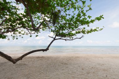 Güzel deniz ve blue sky adlı Andaman Denizi, Tayland