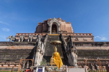 Wat Chedi Luang tapınakta Chiang mai, Tayland