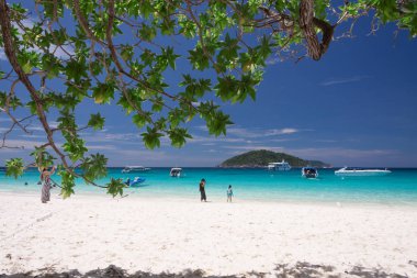 Similan Island, Tayland güzel tropikal plaj