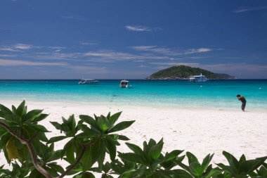 Similan Island, Tayland güzel tropikal plaj