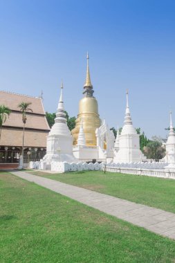 Suan dok Tapınağı güzel tapınakta chiangmai, Tayland