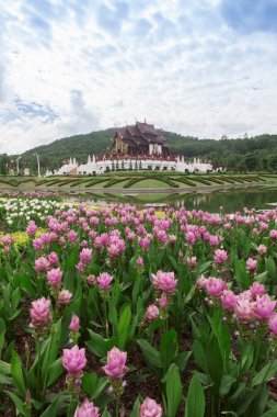 Chiang Mai, Tayland Kraliyet Flora Ratchaphruek Park.