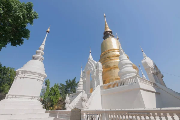 Ouro e pagode branco no templo wat Suan dok, Chiang Mai, Thaila — Fotografia de Stock