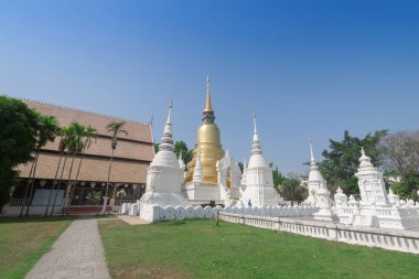 Suan dok Tapınağı güzel tapınakta chiangmai, Tayland